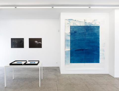 De Profundis, 2013, While Dreaming 2011-current, Untitled (large cyanotype) 2012, exhibition view
<br>© David Gagnebin-de Bons