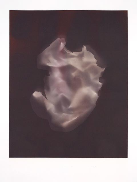 Untitled (from 12 Shapes, salt prints photograms), 2016
<br>© David Gagnebin-de Bons