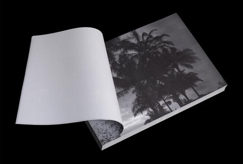 Palm #10, from the edition Useful Landscape, 2007 (selfpublished)
<br>© Stéphanie Gygax