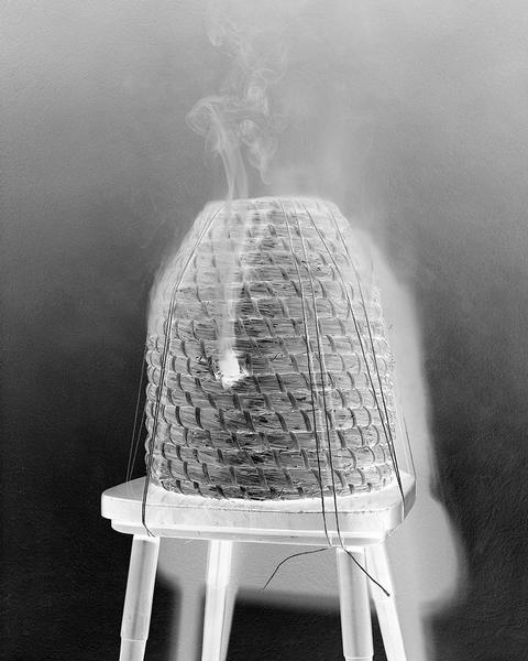Basket hive, ‘Apian’, 2013 <br>© Aladin Borioli