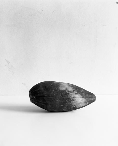 Cocoa pod, Inventio, 2013 <br>© Yann Haeberlin